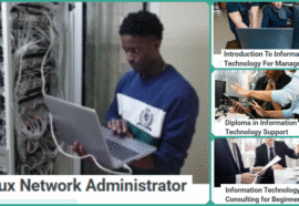 Launch Your IT Consulting Career With Alison’s Free Courses