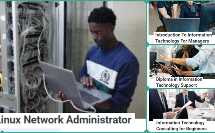 Launch Your IT Consulting Career With Alison's Free Courses