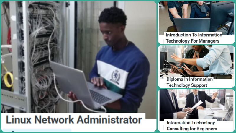 Launch Your IT Consulting Career With Alison's Free Courses