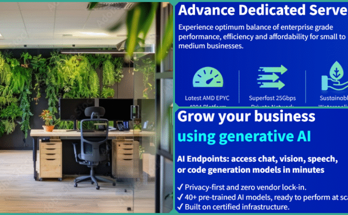 Why Eco-Friendly Web Hosting Will Benefit Your Business