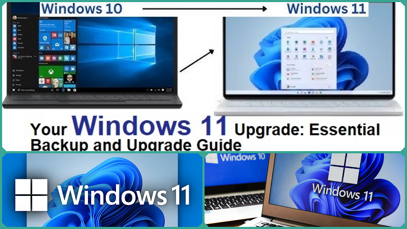 Your Windows 11 Upgrade: Essential Backup and Upgrade Guide